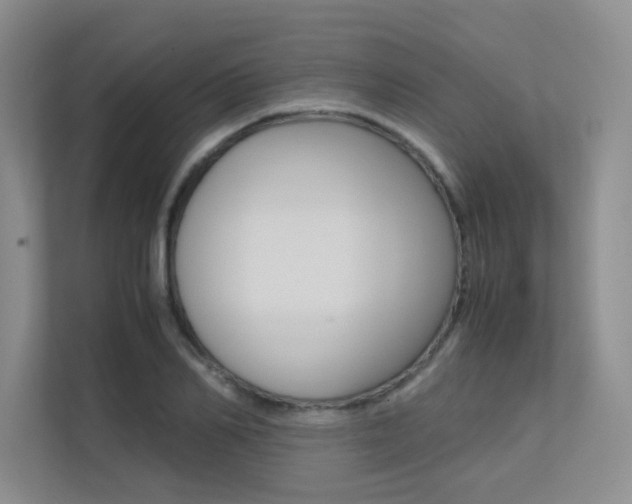X0000113240982200909100919