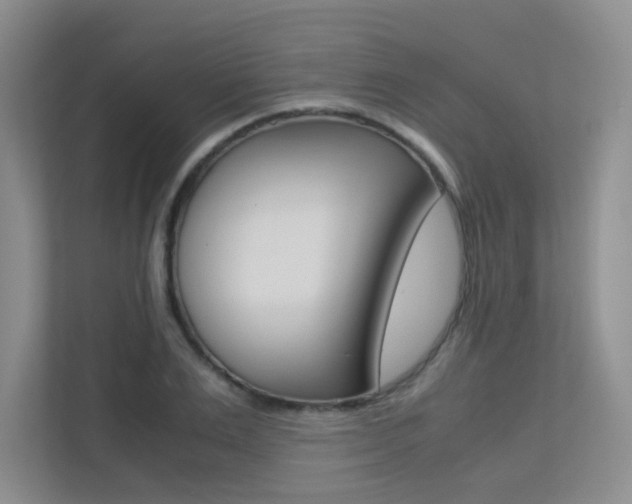 X0000113240983200909100919