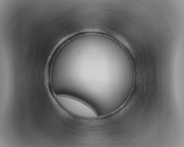 X0000113240984200909100919