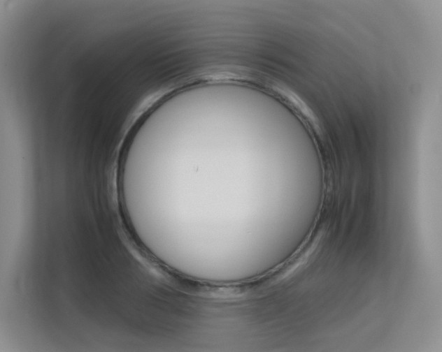 X0000113240986200909100919
