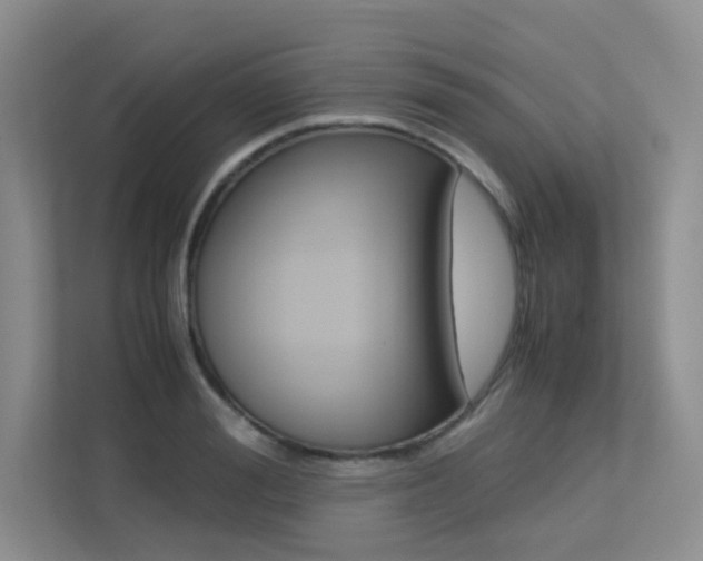 X0000113240988200909100919