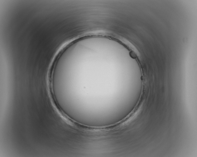 X0000113240989200909100919