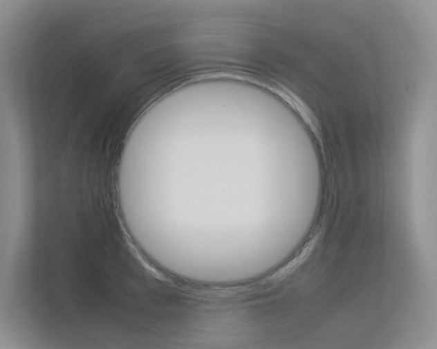 X0000113240993200909100919