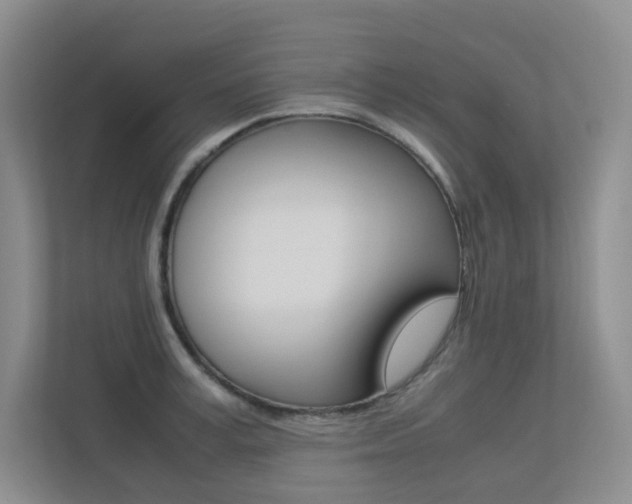 X0000113240995200909100919