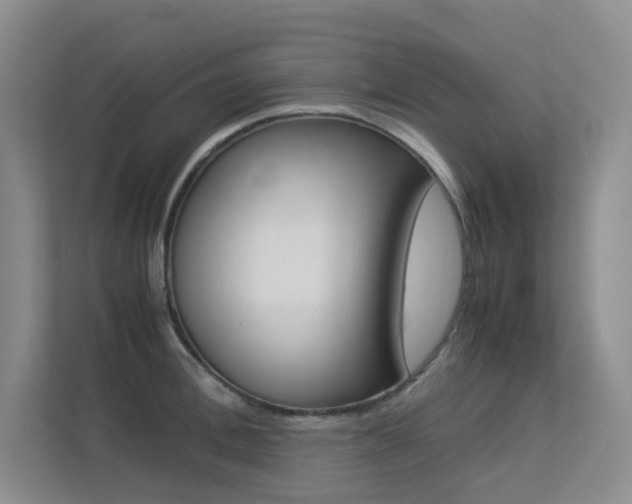 X0000113240996200909100919