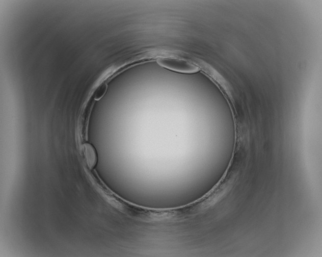 X0000113240997200909100919