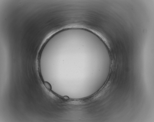 X0000113240998200909100919