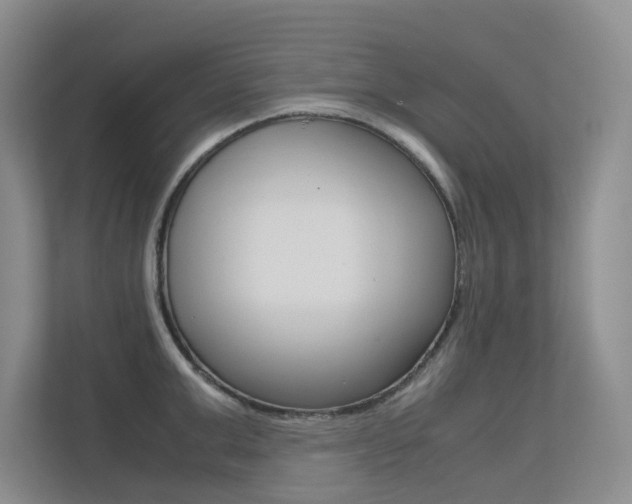 X0000113240999200909100919