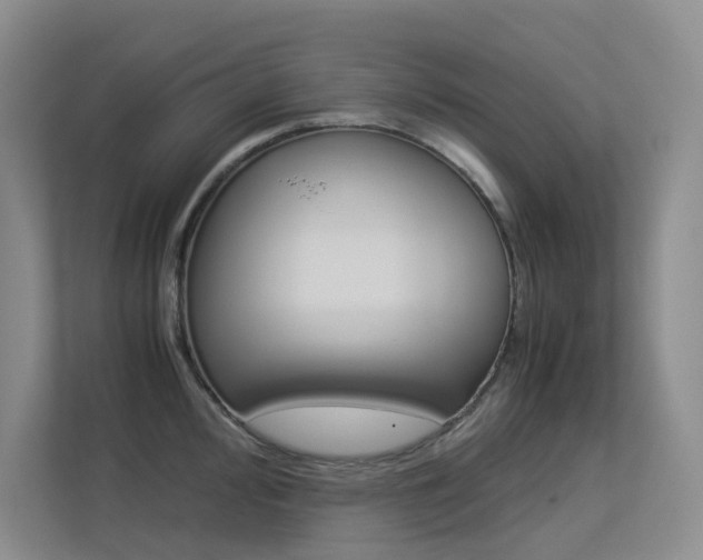 X0000113241000200909100919