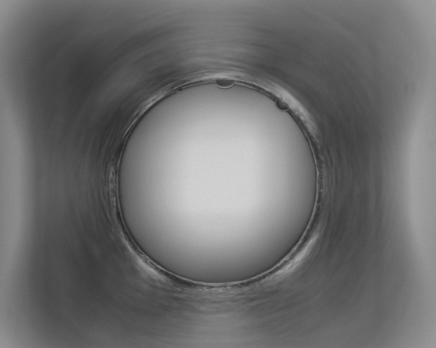 X0000113241001200909100919