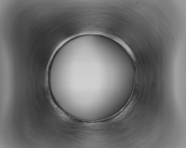 X0000113241004200909100919