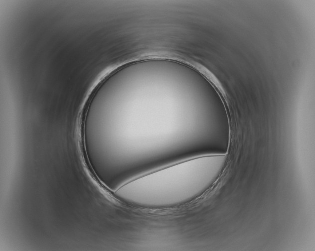 X0000113241005200909100919
