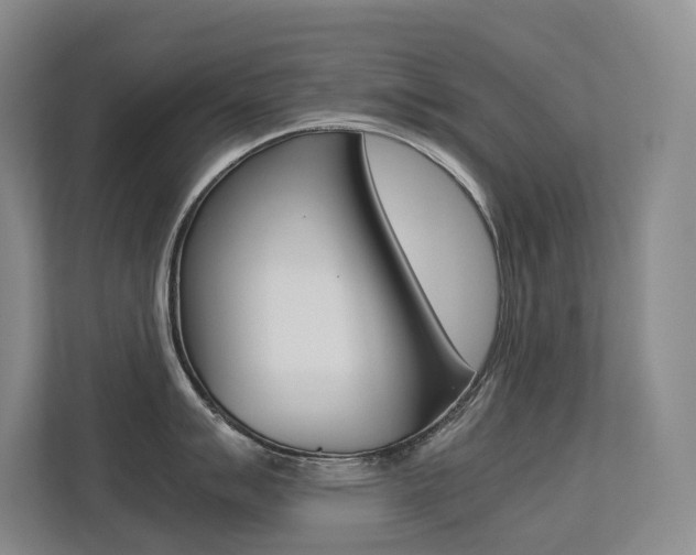 X0000113241007200909100919