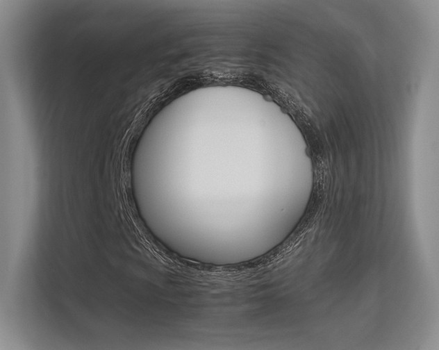X0000113241009200909100918