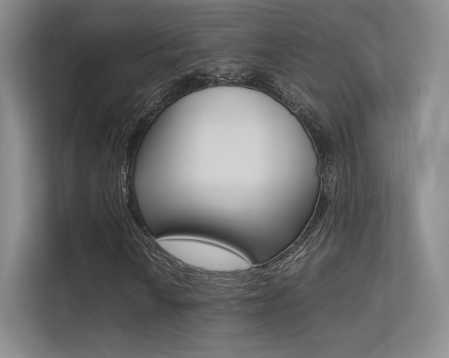 X0000113241010200909100918