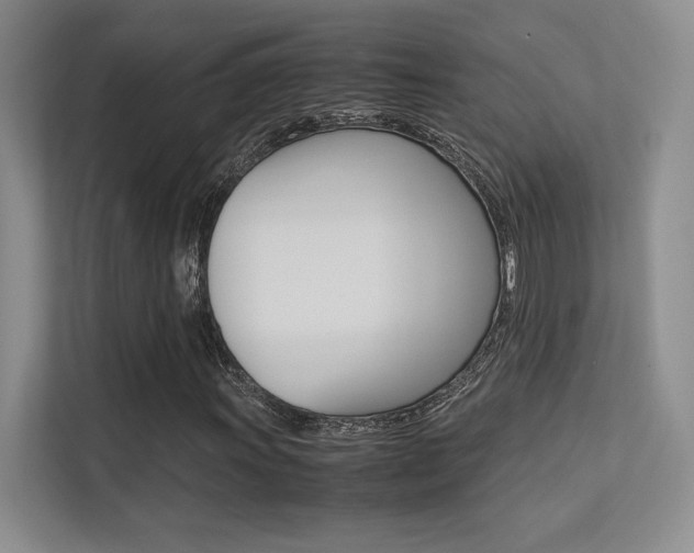 X0000113241011200909100918