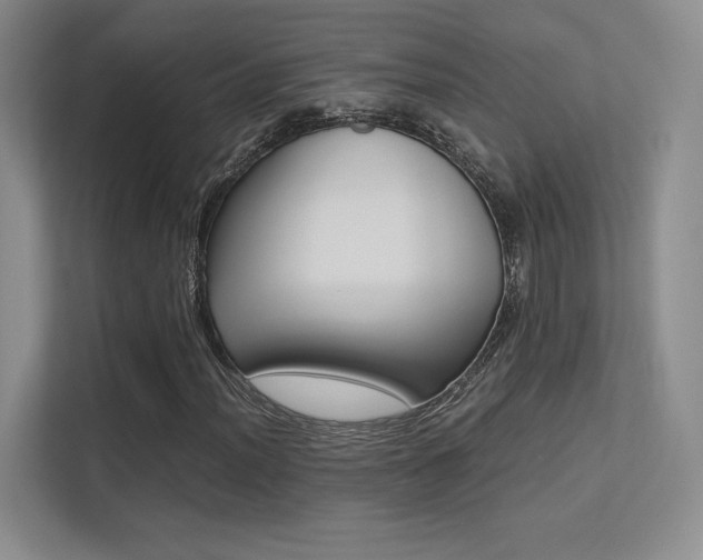 X0000113241012200909100918