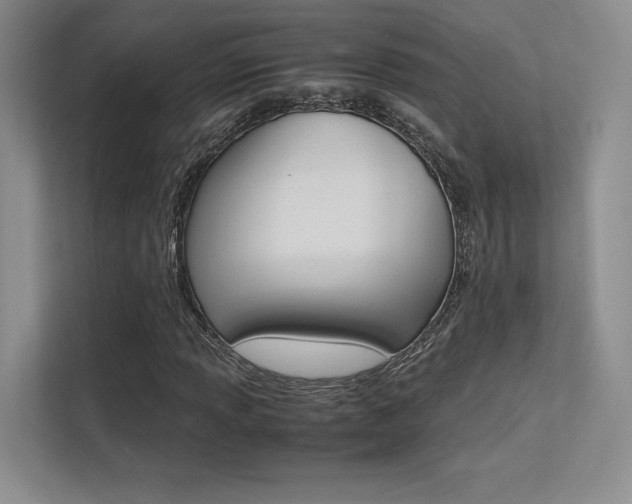 X0000113241013200909100918