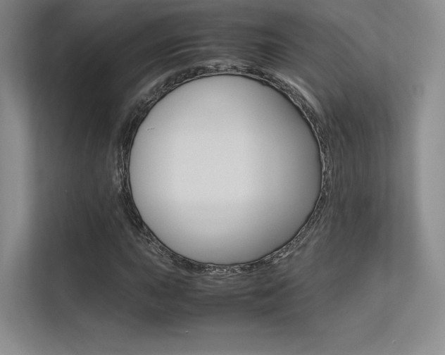 X0000113241015200909100918