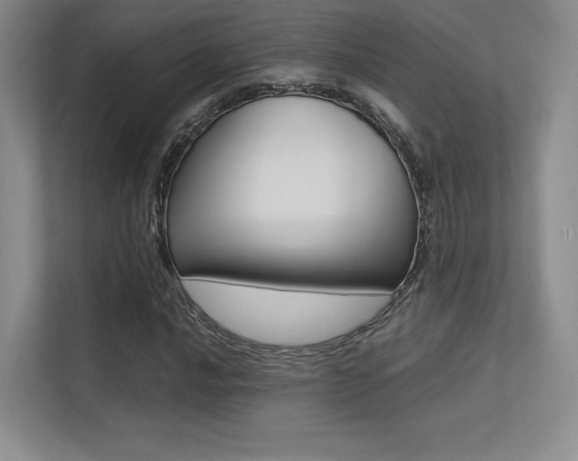 X0000113241016200909100918