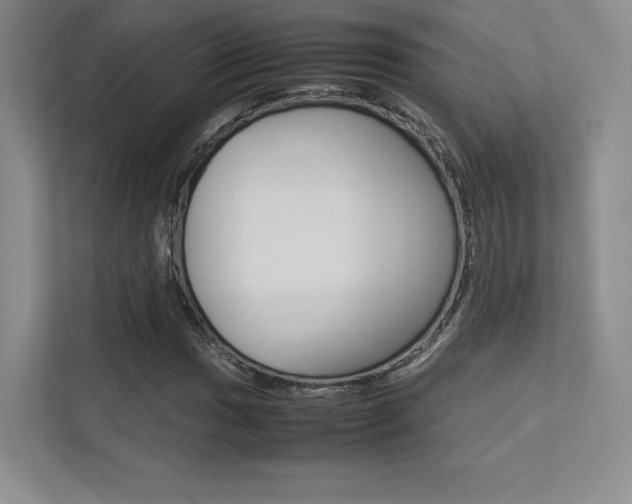 X0000113241017200909100918