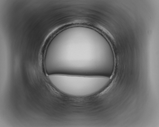X0000113241021200909100918