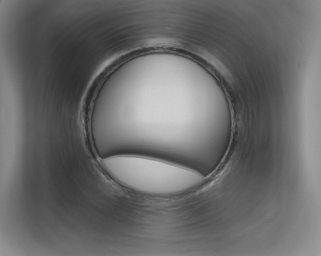 X0000113241022200909100918