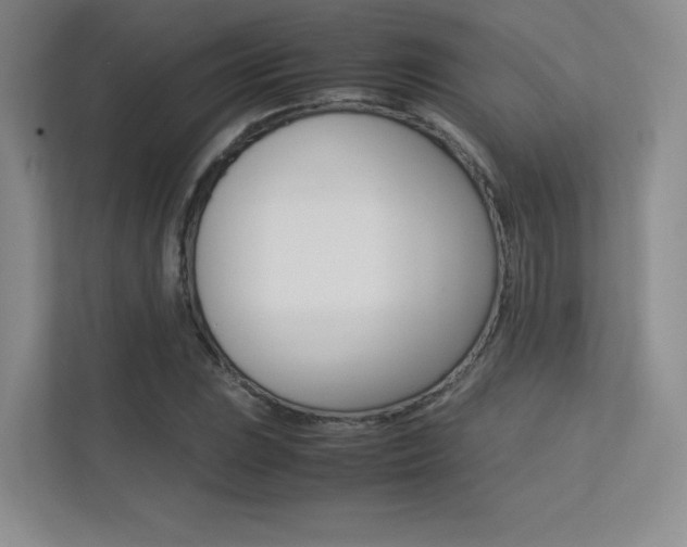 X0000113241023200909100918