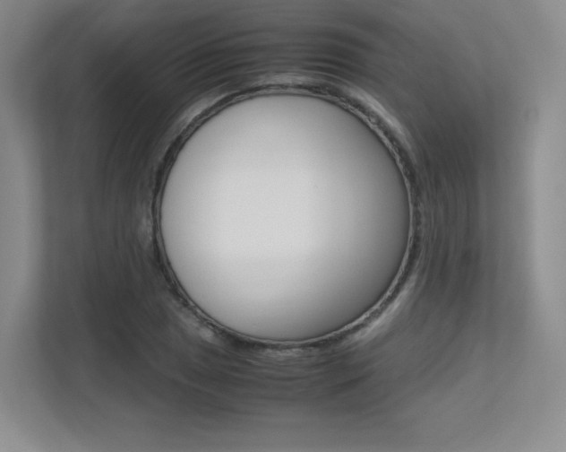 X0000113241025200909100918
