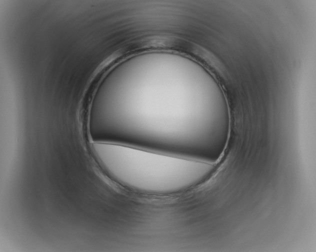 X0000113241026200909100918