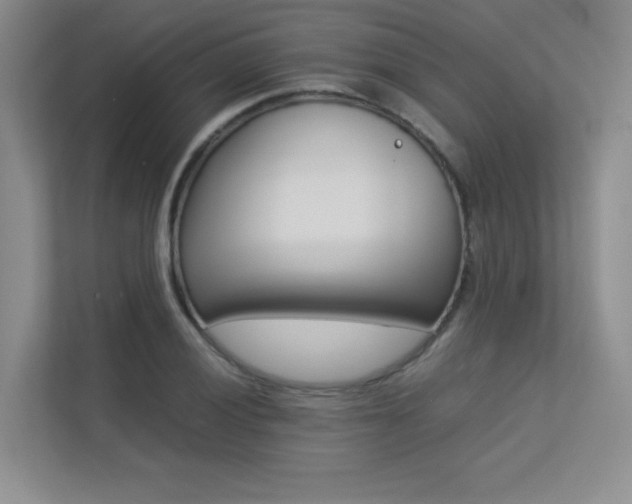 X0000113241028200909100918