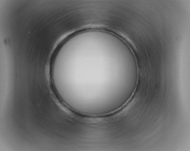 X0000113241030200909100919