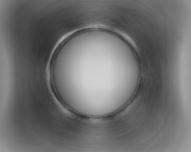 X0000113241032200909100919