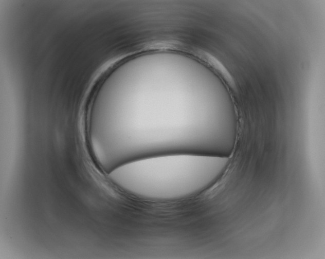 X0000113241035200909100919
