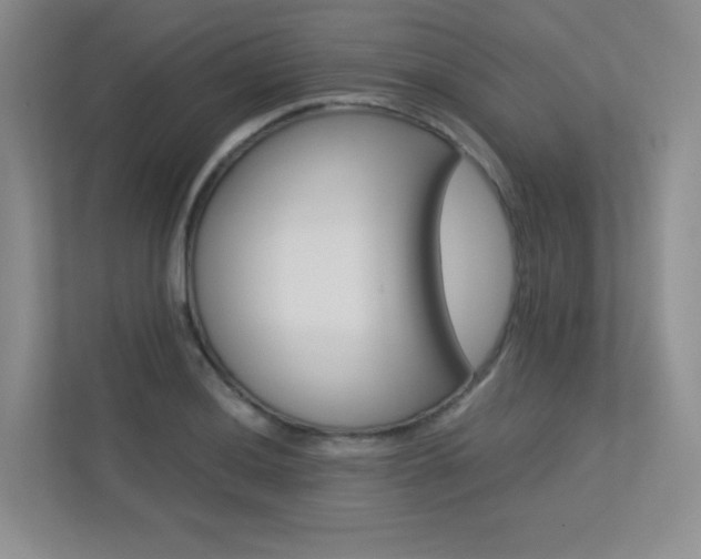 X0000113241036200909100919