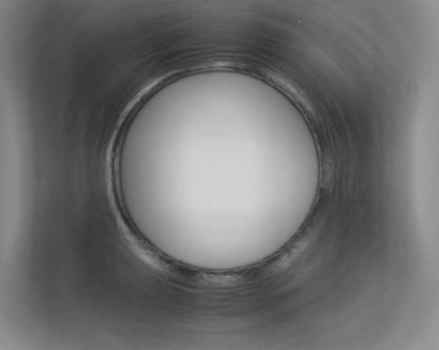 X0000113241039200909100919