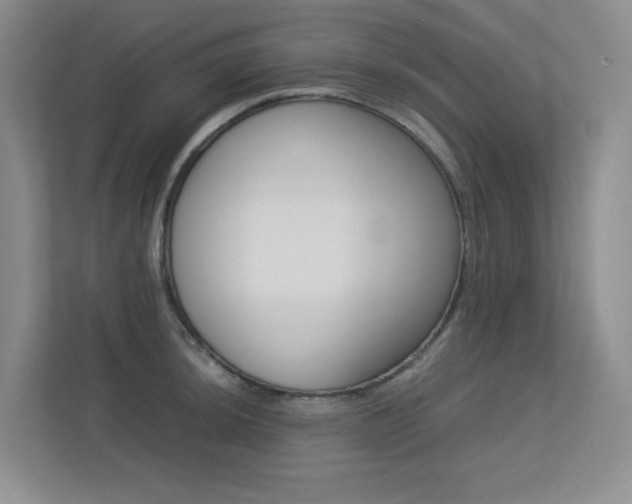 X0000113241044200909100919