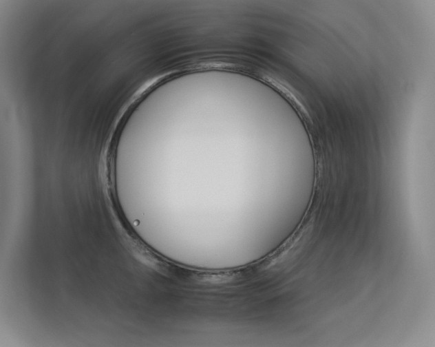 X0000113241047200909100919