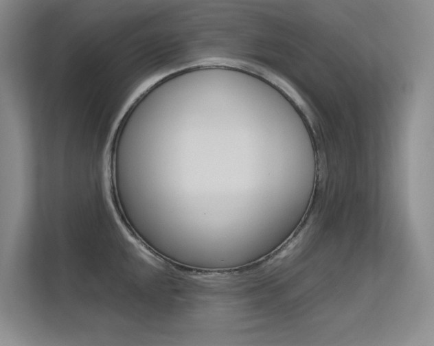 X0000113241048200909100919