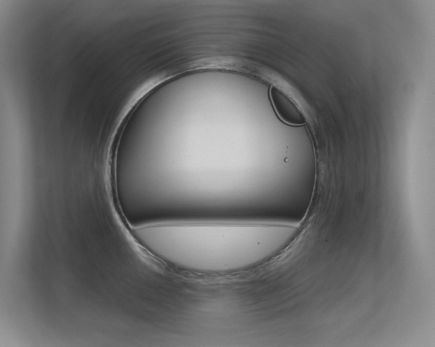 X0000113241050200909100919