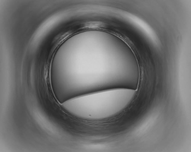 X0000113241052200909100919