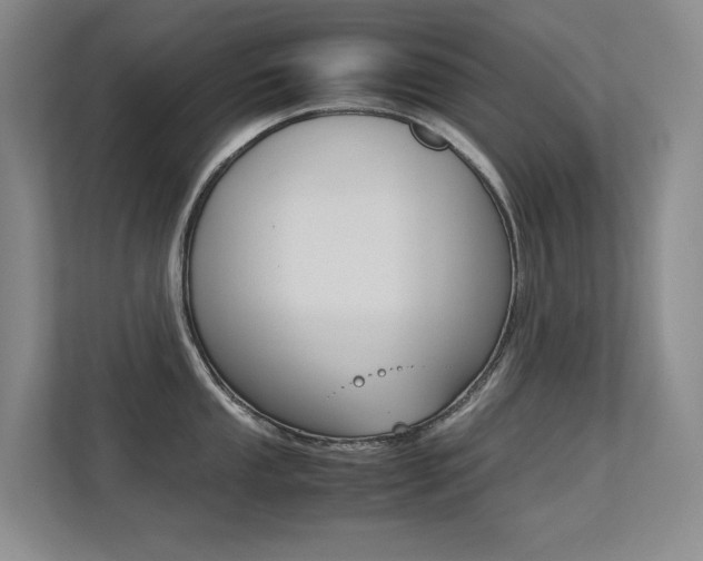 X0000113241053200909100919