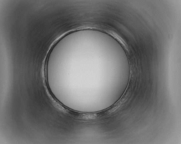 X0000113241055200909100919