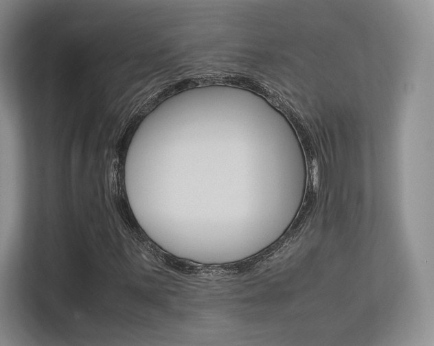 X0000113241059200909100918