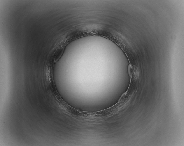 X0000113241060200909100918