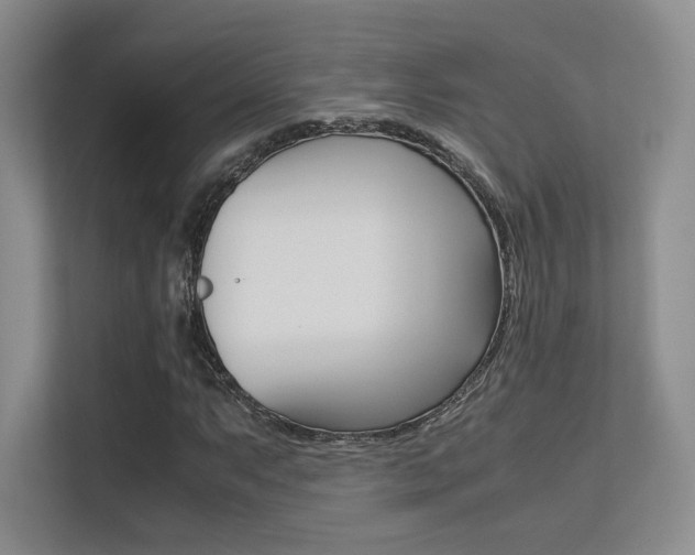 X0000113241063200909100918