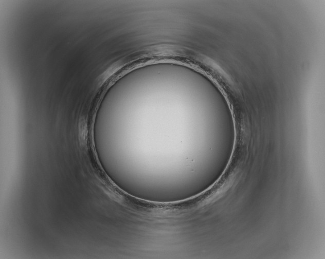 X0000113241065200909100918