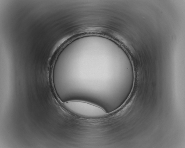 X0000113241066200909100918