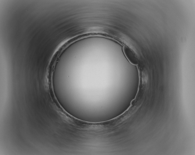 X0000113241068200909100918