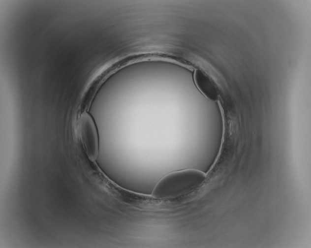X0000113241069200909100918
